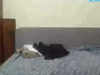 Play uncut clip of Gay sex chat with malzkonus16